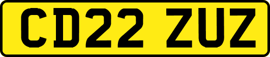 CD22ZUZ