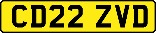 CD22ZVD