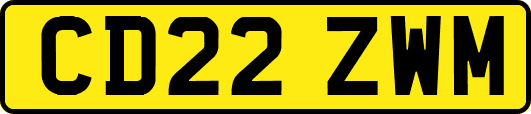 CD22ZWM