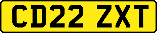 CD22ZXT