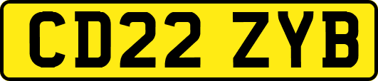 CD22ZYB