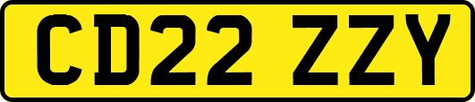 CD22ZZY