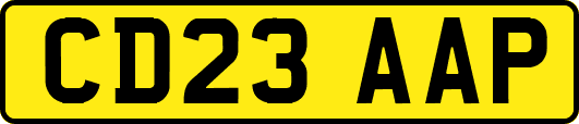 CD23AAP