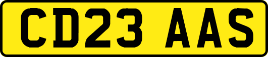 CD23AAS