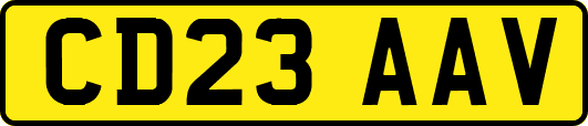 CD23AAV