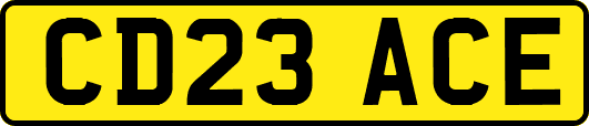 CD23ACE