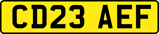 CD23AEF