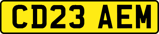 CD23AEM