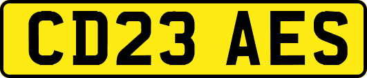 CD23AES