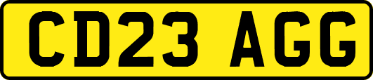CD23AGG