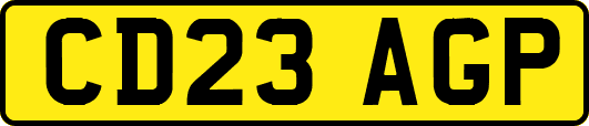 CD23AGP