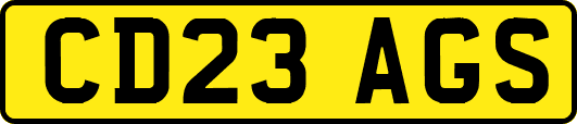 CD23AGS
