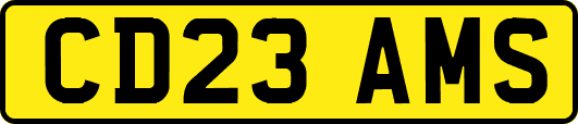 CD23AMS