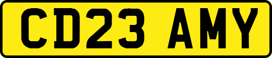 CD23AMY