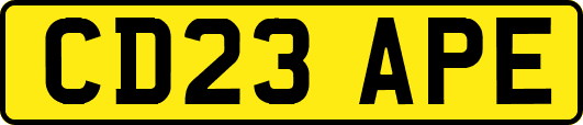 CD23APE
