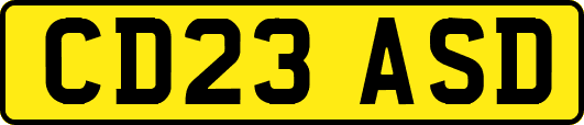 CD23ASD