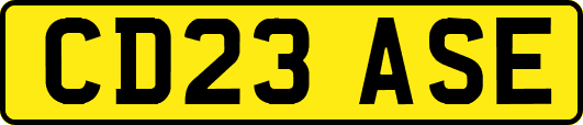 CD23ASE