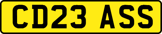 CD23ASS