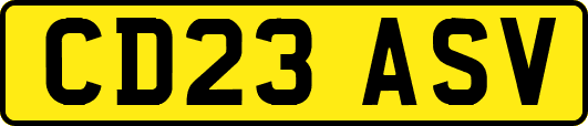 CD23ASV