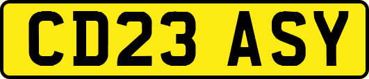 CD23ASY