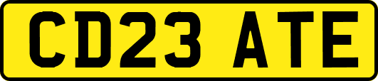 CD23ATE