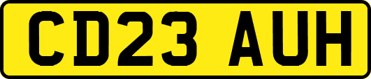 CD23AUH