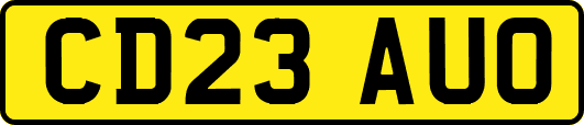 CD23AUO