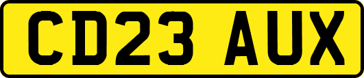 CD23AUX