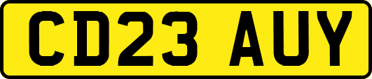 CD23AUY