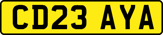 CD23AYA