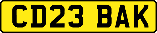 CD23BAK