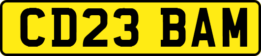 CD23BAM