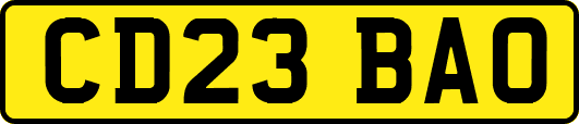 CD23BAO