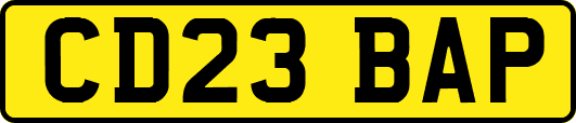 CD23BAP