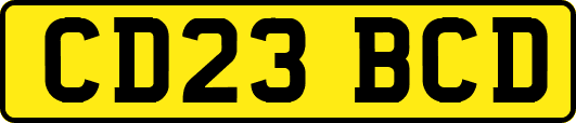 CD23BCD