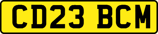 CD23BCM