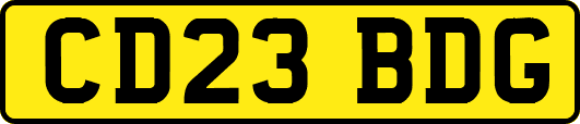 CD23BDG