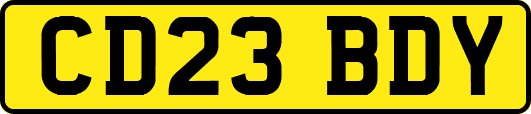 CD23BDY
