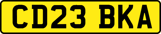 CD23BKA