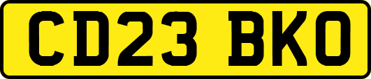 CD23BKO