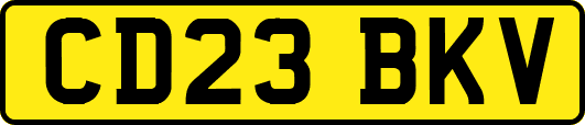 CD23BKV