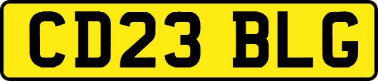 CD23BLG