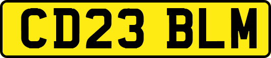 CD23BLM