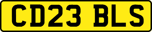 CD23BLS