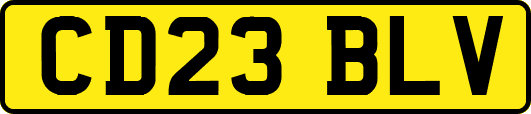 CD23BLV