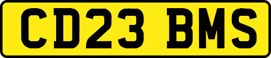CD23BMS