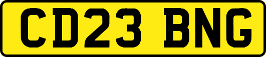CD23BNG