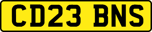 CD23BNS