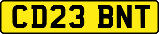 CD23BNT