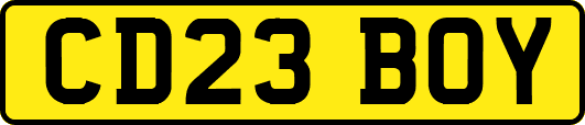 CD23BOY